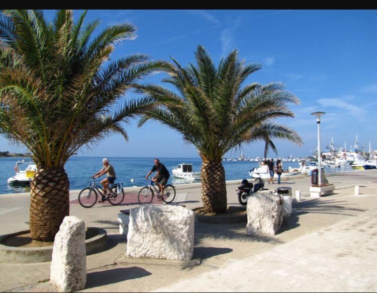 Novalja Beach Apartment Dış mekan fotoğraf
